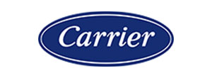 Carrier